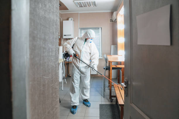 Best Mold Damage Restoration  in Napa, CA