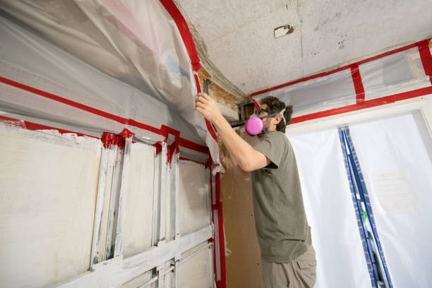 Best Industrial Mold Remediation  in Napa, CA