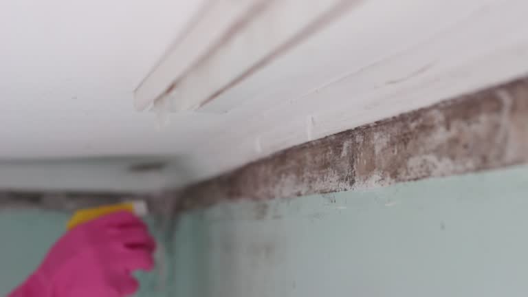 Mold Removal for HVAC Installations in Napa, CA